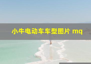 小牛电动车车型图片 mq